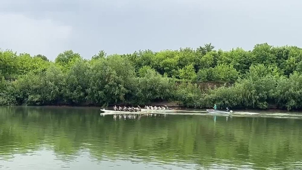 ������� ��� � ����� ������� ������ ���� ������