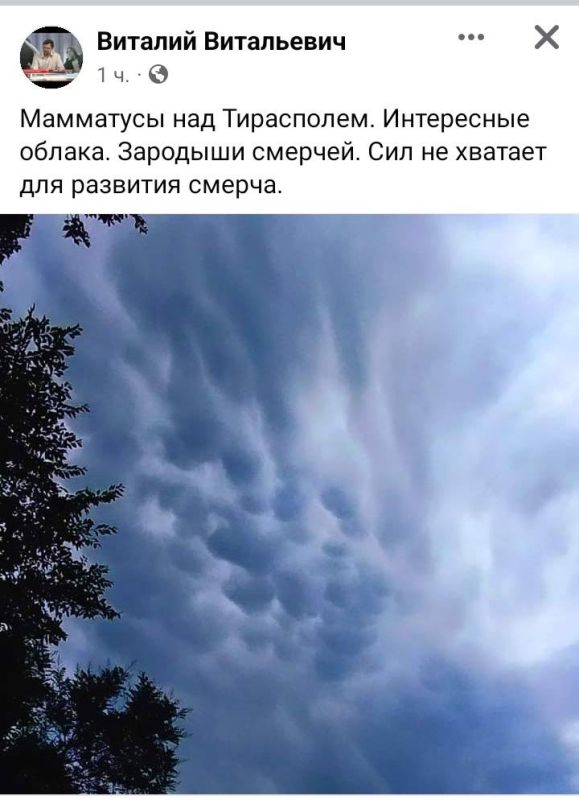 ���������� ��������� �����, ��� �� ������ � ������ ����