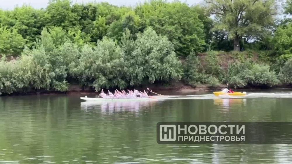 ����������� ������ �� ������ �����