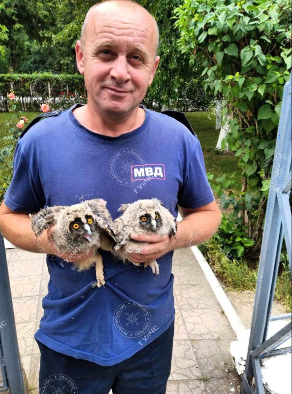 ������ ������� �� �������