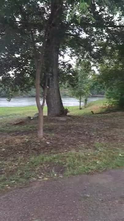 ���� �� �������� ������� ���������� ������� ��� ������ � ��� ����� ����� ���������� ������ � ���������� ������� � ����������� ����� �������