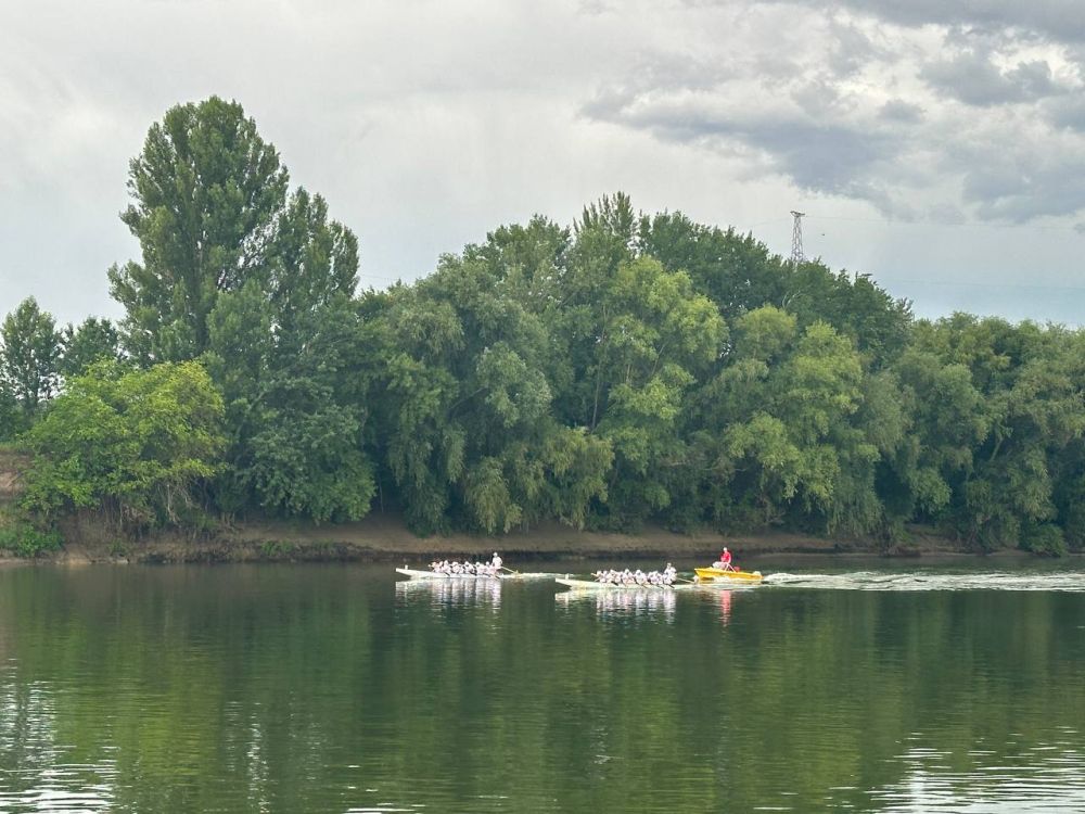 ��� �����, ��������� ����� �� ������