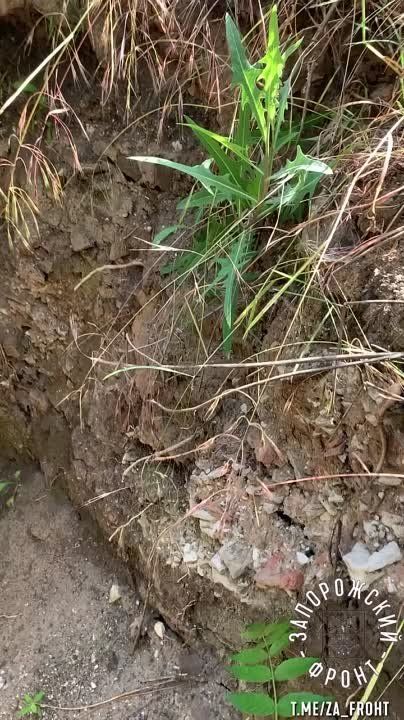 ���������� �� ����������� ����������� ���������� �� ������ �������� ���������� ����������� ���������