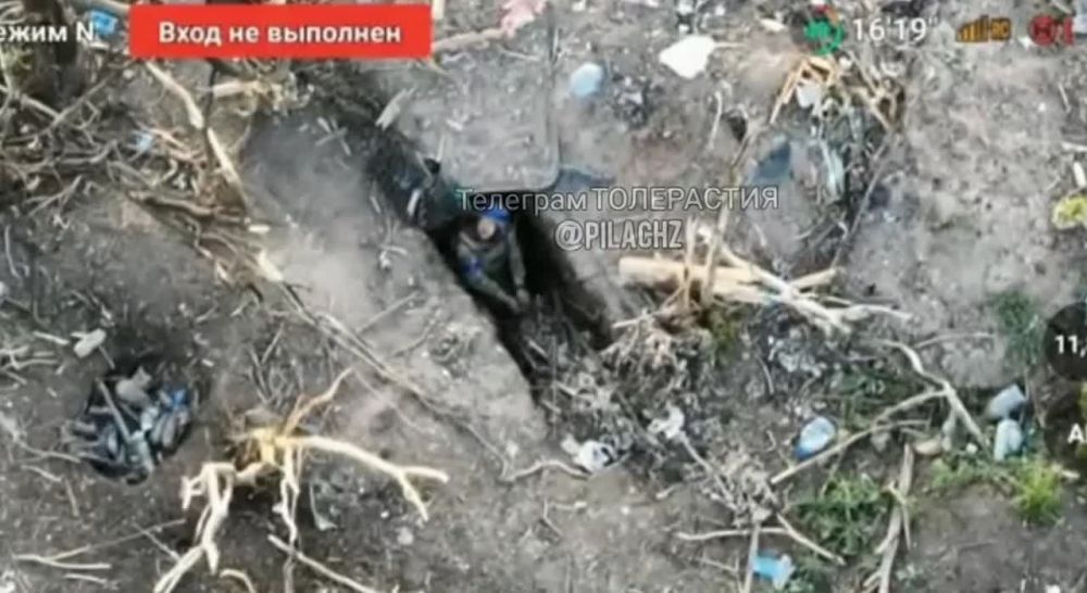 ��� ������ �� ����������. ����� ����������� ���� ����� � ������� � ���������