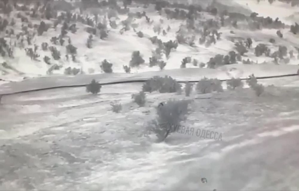 ��������� ���� ��������, ������� � ���������