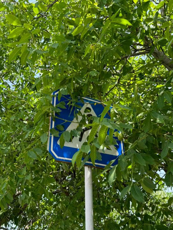 � ��������, ��� ����� ������� ������ � ����������� �������