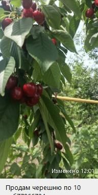 ���������� � �������� ��������