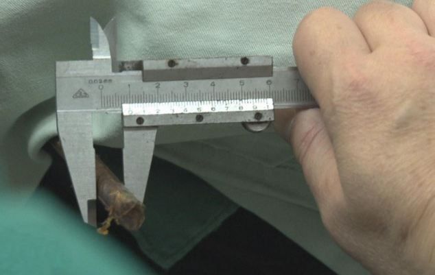 ������������� ���� ������� �� ���� 56-������ ������� � ���������