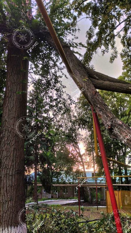 ��������� �������� �������� ������� � �������