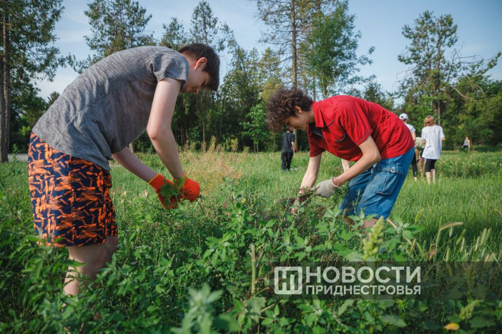 � ��������������� ������������ ��� ������������� 16 ����������