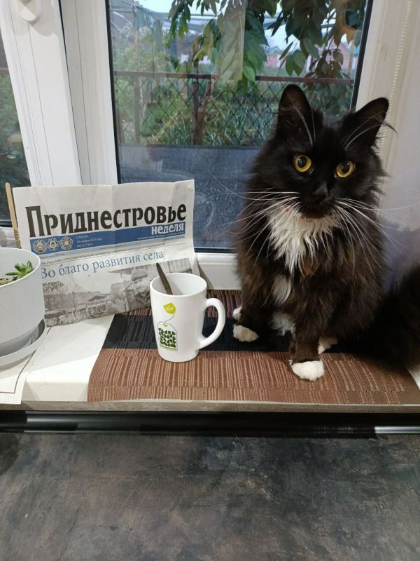 ��������! ������� ������ � �������!� - ��� ���������� ������� � 30-����� ��������������� ������ ��������������