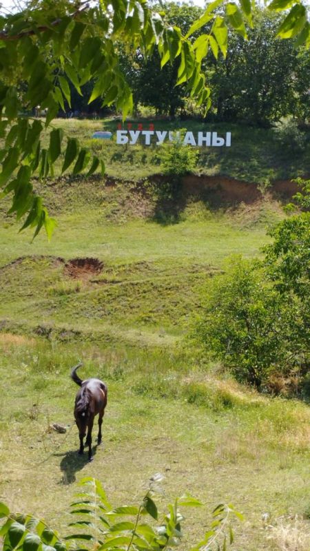 ��� ��������, ������ ��������