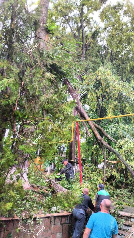 ����������� �������� � ��������� ������