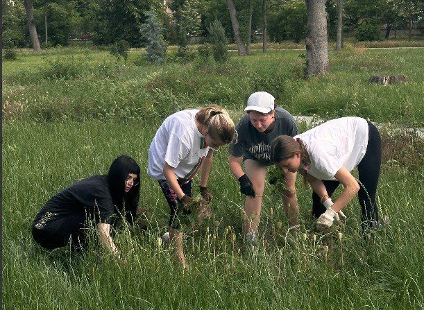 � ����������� �������� ������ ���������� ����������