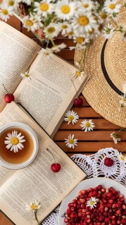 ������ ����