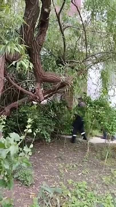 � ��������� �������� ��� ������������� �������