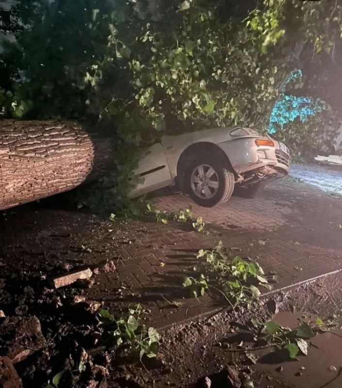 ���������� ����� �����