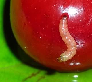 ���������� ������� � �������� �� ��� ������, ��� ������ ���������� ����� ��� �����