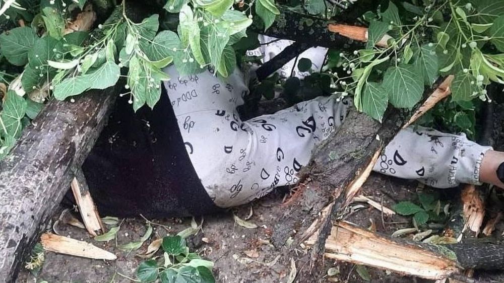 � ������� �� ����� ������ �������� ��������� ����� ���� �������: ������� ����� �� ������ ������� �� ������ � ���� � �����, � ���� ������� ����� � �������� ������ �����