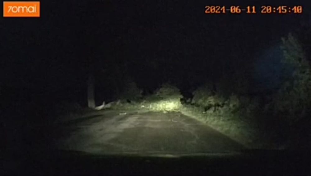 ������ ������� ������ �� ������ � ���������� ������ �������