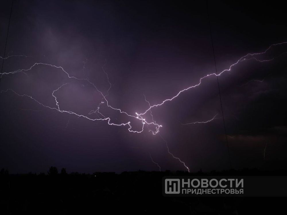 �������� �� �����. 13 � 14 ���� ��������� ��������������� �����, �����, ������� � ������ � �������������