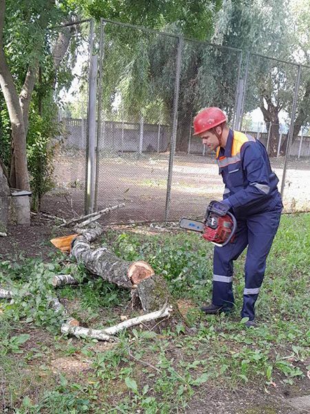 � ���������� ��������� ����������� ������ �����