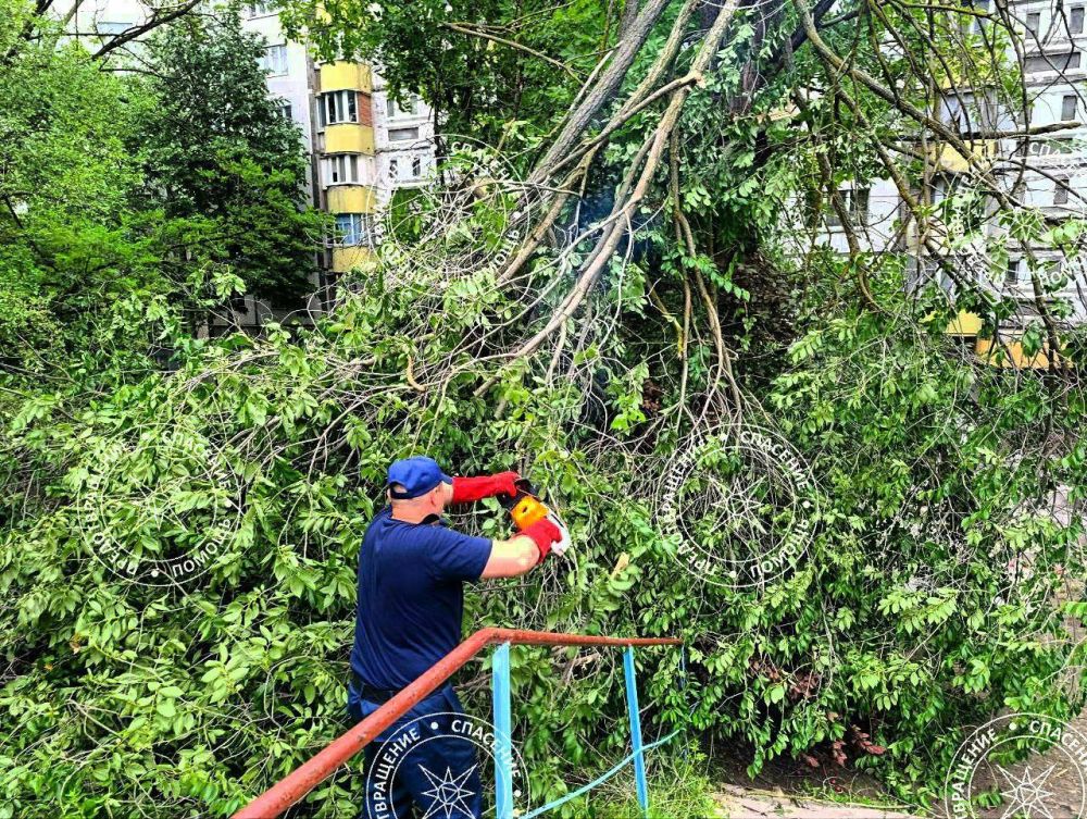 ��������� � ������� ������� �������� ����� ������� �� ������� 11-�� �����