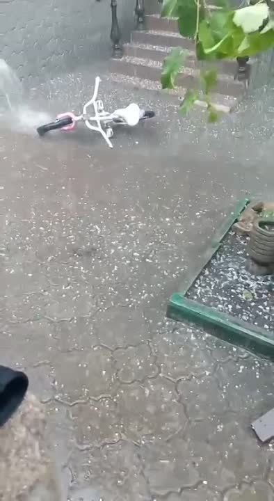 �������� ����� �������� �� ������ �������������: ������� �����, ������ � ����