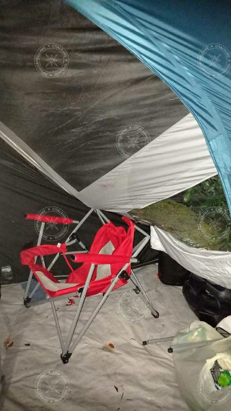 � ������������ ������ ����� ����� �� ������� � �������� ��������� �������