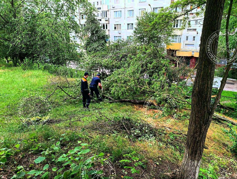 ��������� ���������� ��������� ����������� ��������