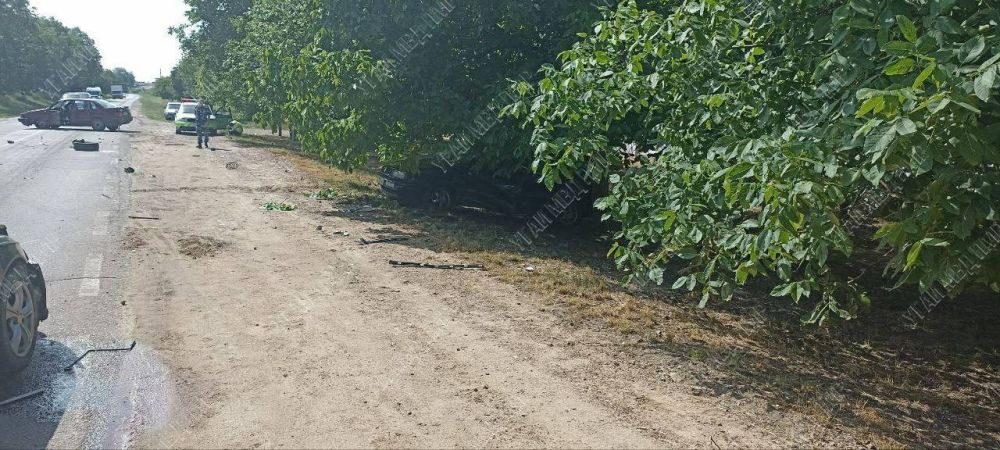 � ���������������� ������ ����������� ��� ����������