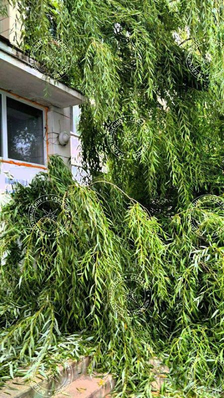 � ������� �������� ������ ��� ����� � ������������� ����� ������� ������������