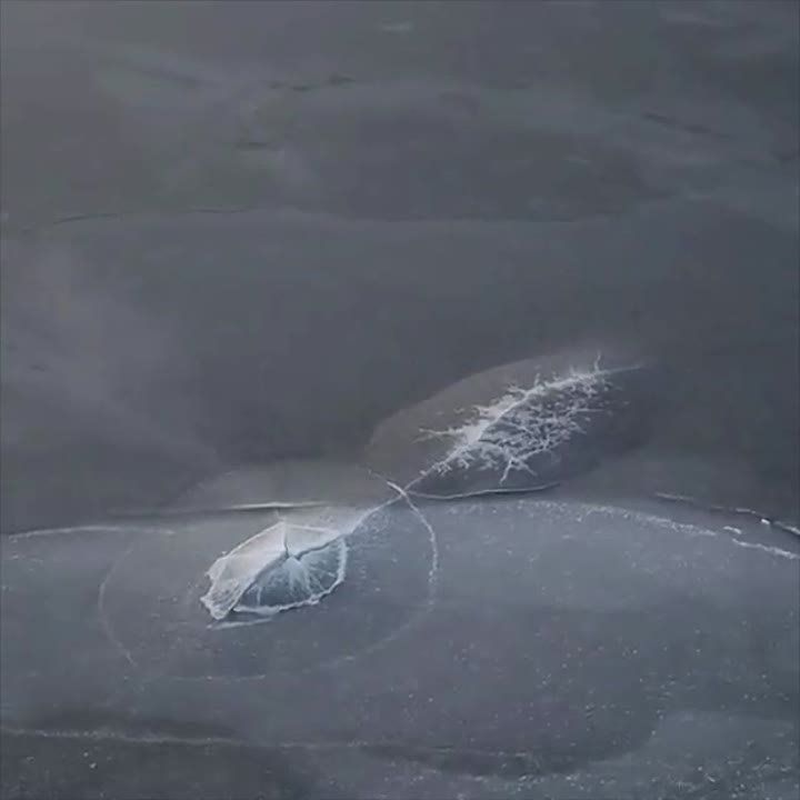 ���� � ��� �� ����� ����, ������������ ��� ��������� �������� ��� ����������� �������