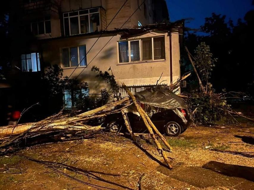 88 ��������� ������� ������� �������� ��� �����