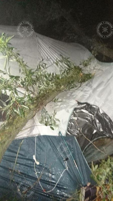 ����� �������� ��������� �������