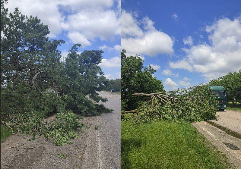 �������� ������ ���� � �������� �� �������