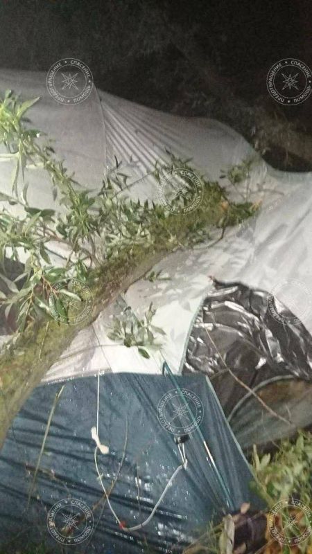 �������� �� ������ �������: ����� ����� �� �������, ������� �����