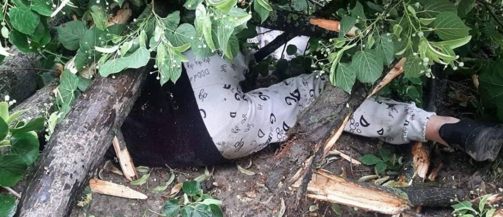 � �������� ����� ������ ������� � �������