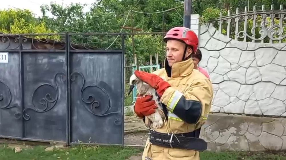 ������� ������ � �������� �� ����� �����