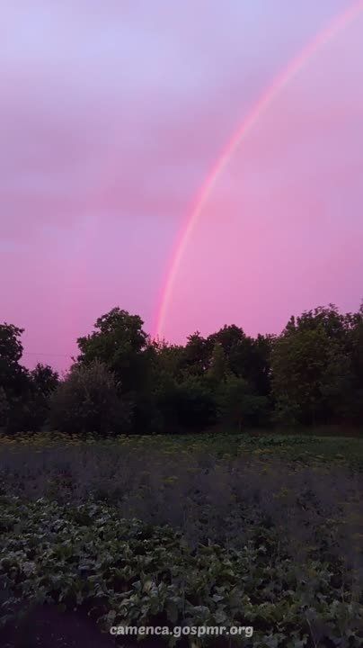 ������ �� �������� ����� ������ �����������