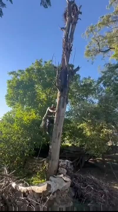 ������ ������� �� ���� ��������