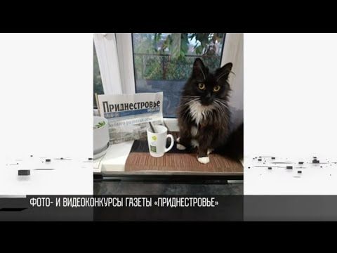 ������� �������� �������