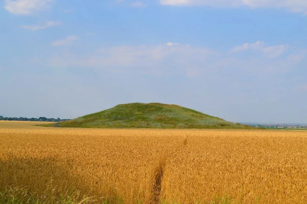 ����� 60 ��������, ������������ ���������������� ����������� � 2023 ����, ������ ����� ���������� �������� ����������� ���������� � ������ ���������� �� ��������������� ������