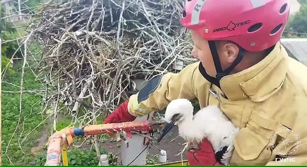 ������� ����� �������� ����� �����?! � ��������� ������ �� ��������