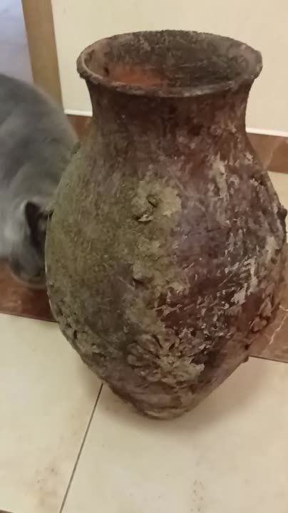 ����� ����� ������ �� ������� �������� ��������� �����