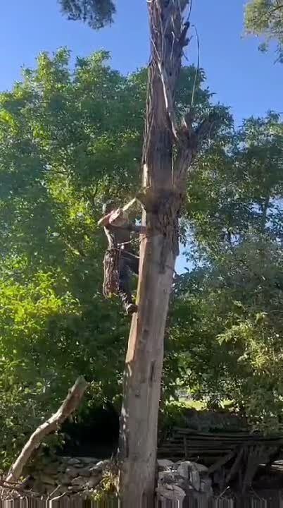 ����� � �������� ���� �� �������� ��� ���� � ���������