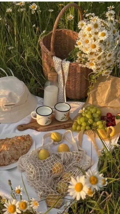 ������ ����