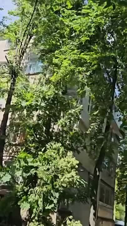 �����, ��� ����� ������� 12-������ �������