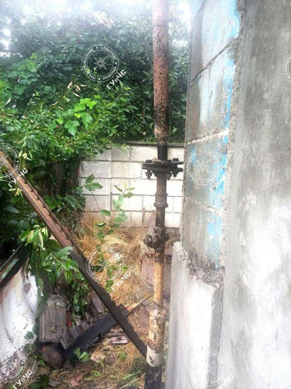 ������ ������ � ������� ����� ������ �� ����� � ���������