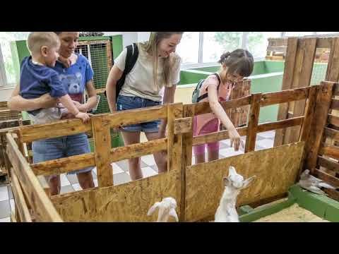 � ���������, �� ������ ����� ��������� ������ ����, �������� ���������� ������� ������. ��л